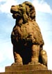 Der Löwenpudel